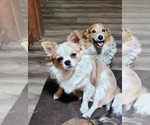 Small #3 Breeder Profile image