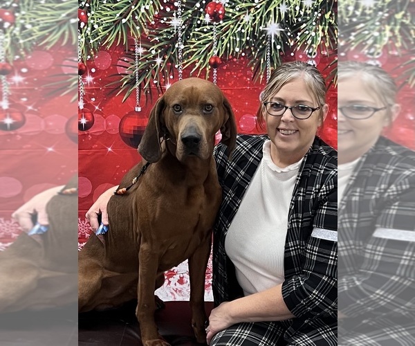 Medium Photo #1  Breeder Profile in BRYANT, IN, USA