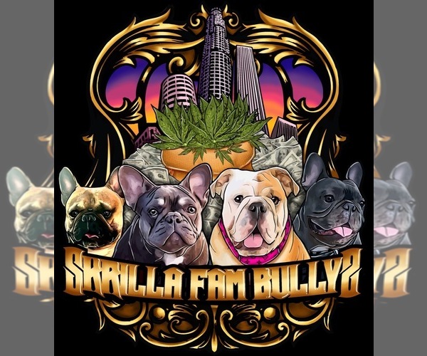 Medium Photo #1  Breeder Profile in HOLLYWOOD, CA, USA