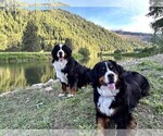 Small #5 Breeder Profile image
