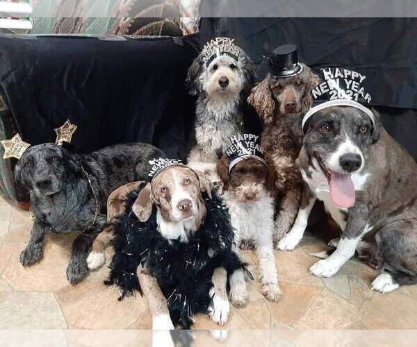 Medium Photo #5  Breeder Profile in MILLVILLE, MN, USA