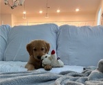 Small #8 Breeder Profile image
