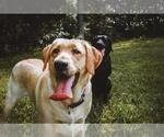 Small #5 Breeder Profile image