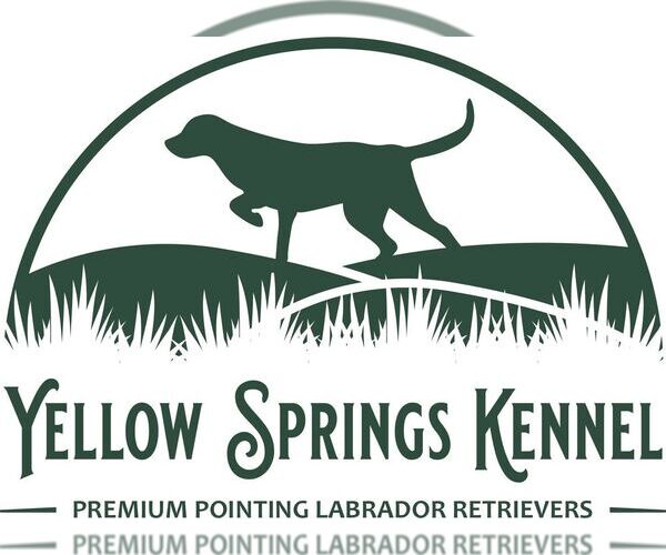 Medium Photo #1  Breeder Profile in SABINA, OH, USA