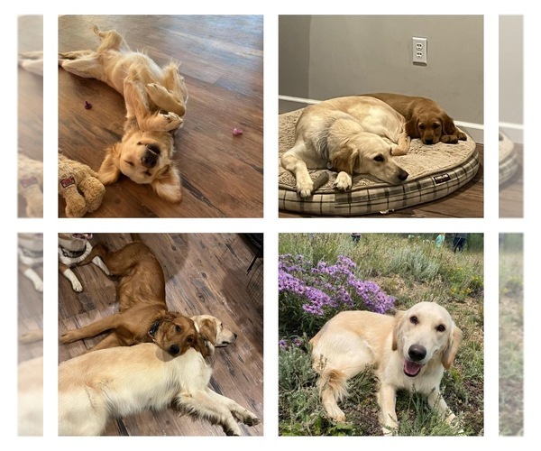 Medium Photo #7  Breeder Profile in SWEETWATER, TN, USA