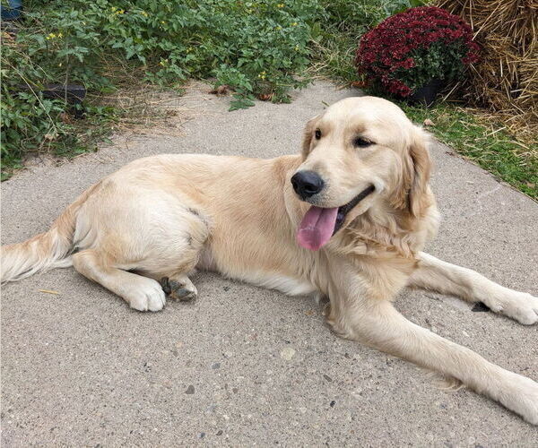 Medium Photo #3  Breeder Profile in BROOKSVILLE, KY, USA