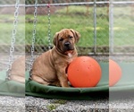 Small #3 Breeder Profile image
