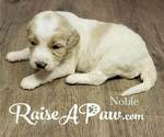 Small #1 Breeder Profile image