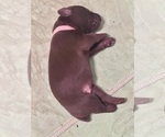 Small #22 Breeder Profile image