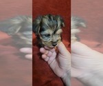 Small #300 Breeder Profile image
