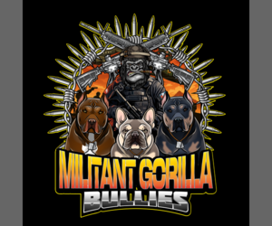 American Bully Dog Breeder near PORTSMOUTH, VA, USA