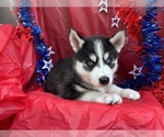 Small #2 Breeder Profile image