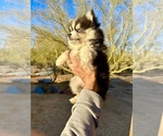 Small #15 Breeder Profile image