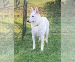Small #8 Breeder Profile image