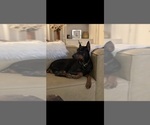 Small #4 Breeder Profile image