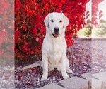 Small #5 Breeder Profile image