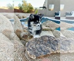 Small #14 Breeder Profile image