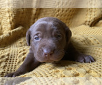 Small #8 Breeder Profile image