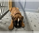 Small #3 Breeder Profile image