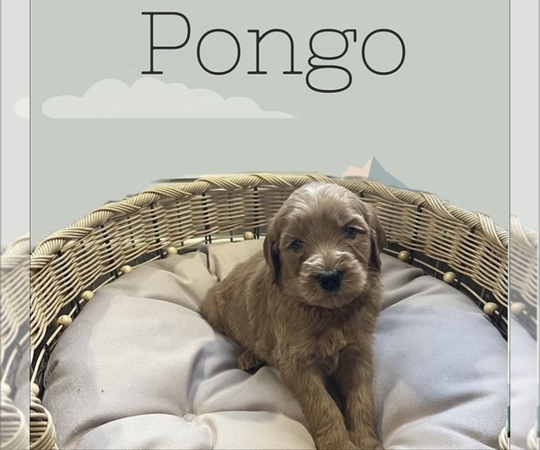 Medium Photo #2  Breeder Profile in LA GRANGE, KY, USA