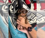 Small #59 Breeder Profile image