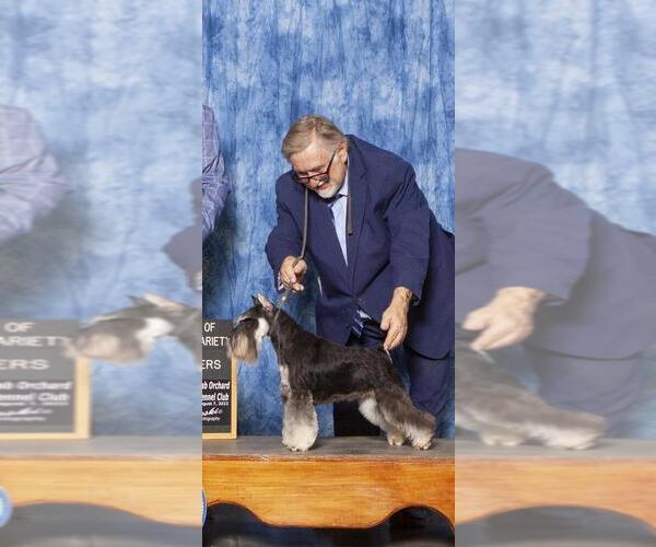 Medium Photo #3  Breeder Profile in O FALLON, IL, USA