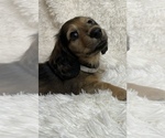 Small #5 Breeder Profile image