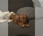 Small #19 Breeder Profile image
