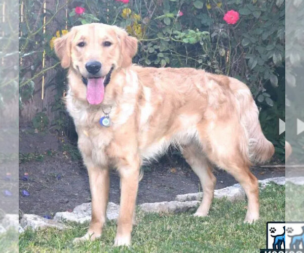 Medium Photo #3  Breeder Profile in INGLESIDE, TX, USA