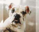 Small #3 Breeder Profile image
