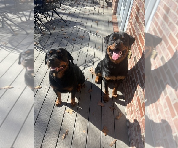 Medium Photo #1  Breeder Profile in FREEBURG, MO, USA