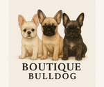 Small #7 Breeder Profile image