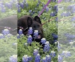 Small #5 Breeder Profile image