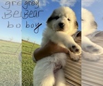 Small #4 Breeder Profile image