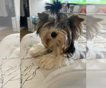 Small #28 Breeder Profile image