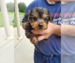 Small #48 Breeder Profile image