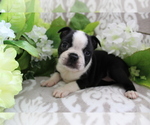 Small #7 Breeder Profile image