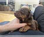 Small #12 Breeder Profile image