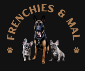 French Bulldog Dog Breeder near STOCKTON, CA, USA