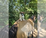 Small #9 Breeder Profile image
