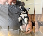 Small #77 Breeder Profile image