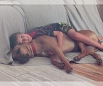 Small Photo #7  Breeder Profile in ALBA, TX, USA
