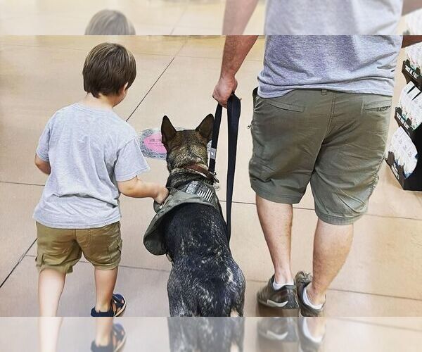 Medium Photo #1  Breeder Profile in GROVETOWN, GA, USA