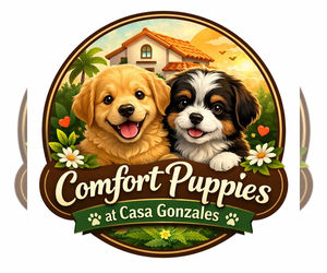 Chihuahua Dog Breeder near MORENO VALLEY, CA, USA