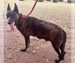 Small #3 Breeder Profile image