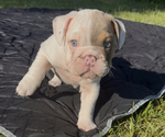 Small #2 Breeder Profile image