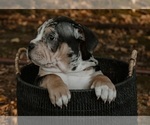 Small #14 Breeder Profile image
