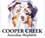 Small breeder photo