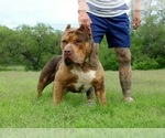 Small #6 Breeder Profile image