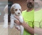 Small #38 Breeder Profile image